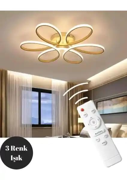 Elektroyou Eskitme Renkli Kumandalı LED Plafonyer Avize Modern İç Mekan Aydınlatması