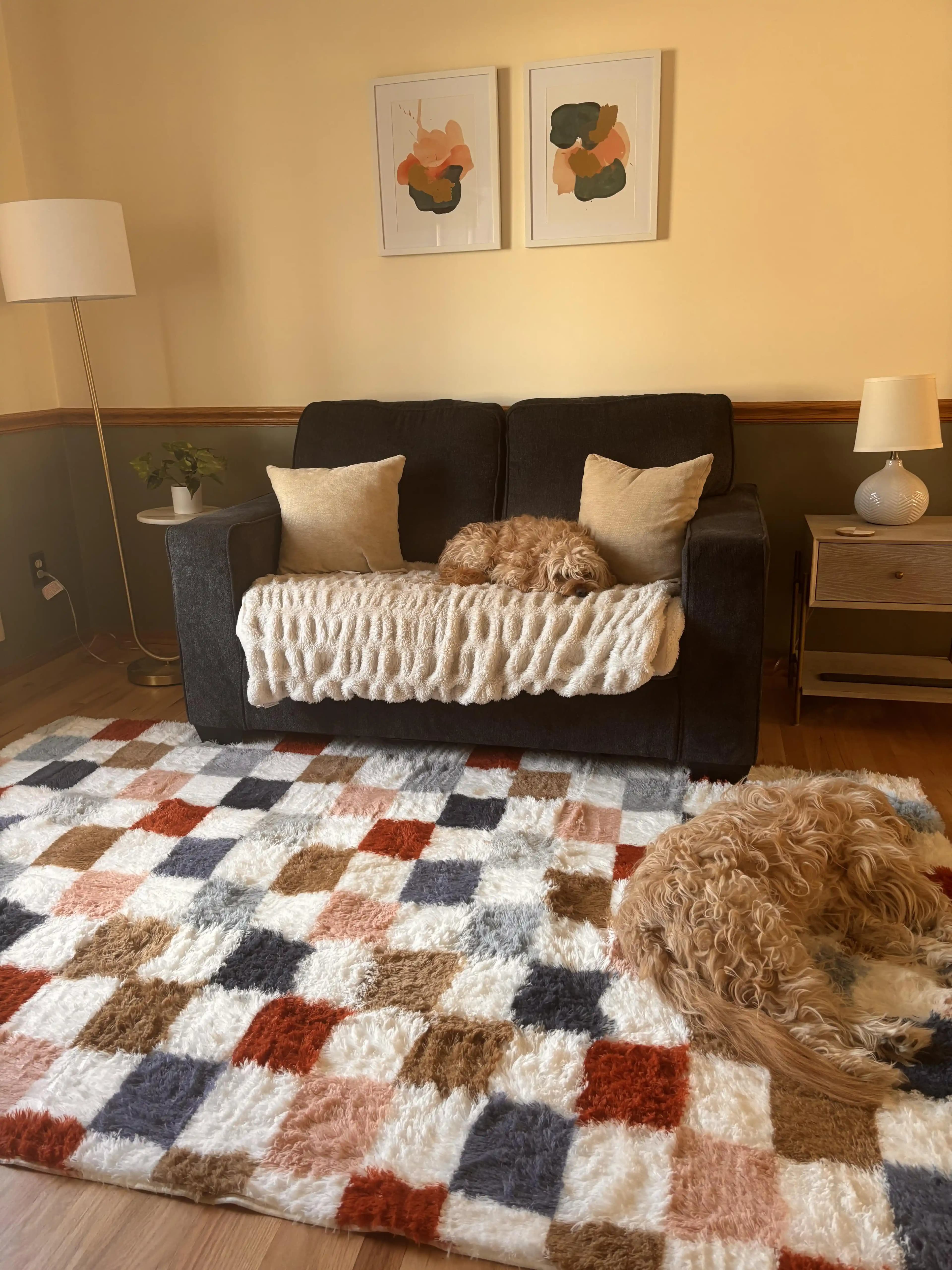 Ev Dekorasyonunda Renk ve Konforun Dengeli Kullanımıyla Sıcak Mekanlar Yaratma