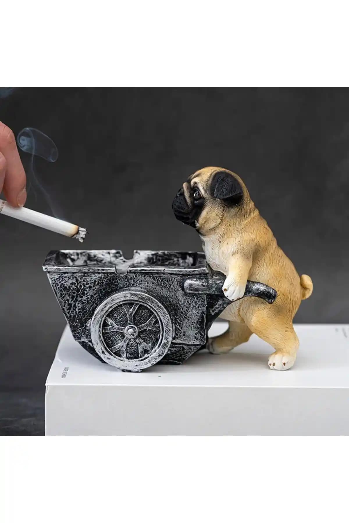 Florada Yeni Tasarım Dekoratif Arabalı Köpek Küllükleri Modern ve Dayanıklı Tasarım Özellikleri