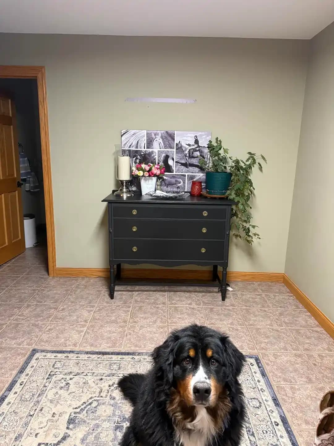 Giriş Holü Dekorasyonunda Mobilya Yerleşimi, Duvar Düzeni ve Renk Seçimleri