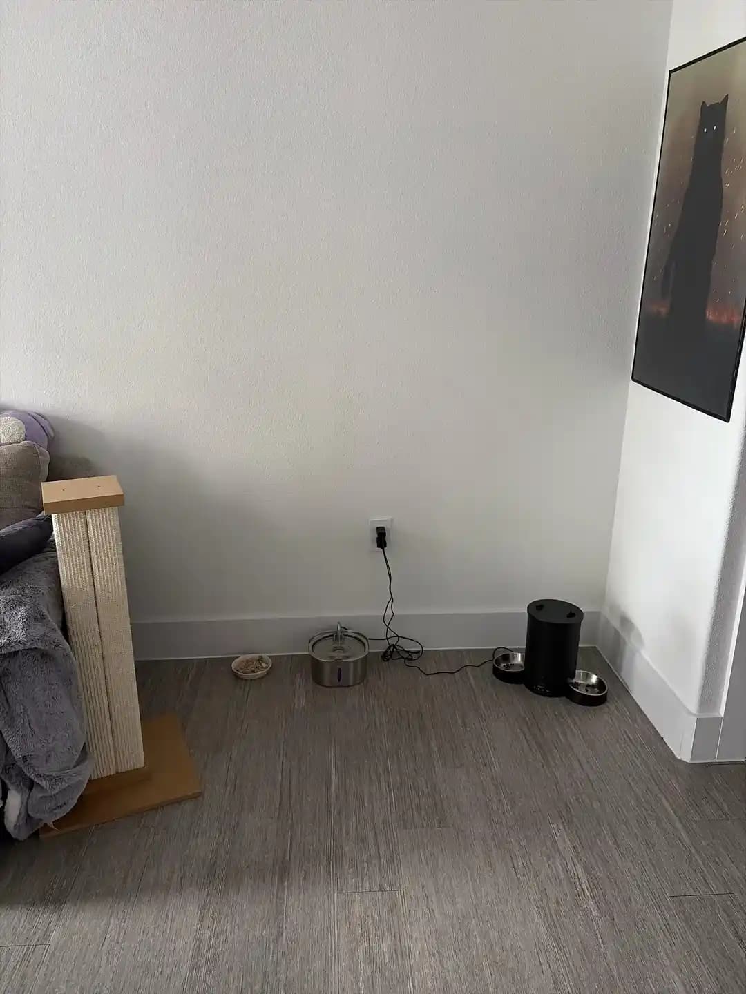 Kedinizin Mama Köşesini Estetik ve Fonksiyonel Hale Getirme Yöntemleri