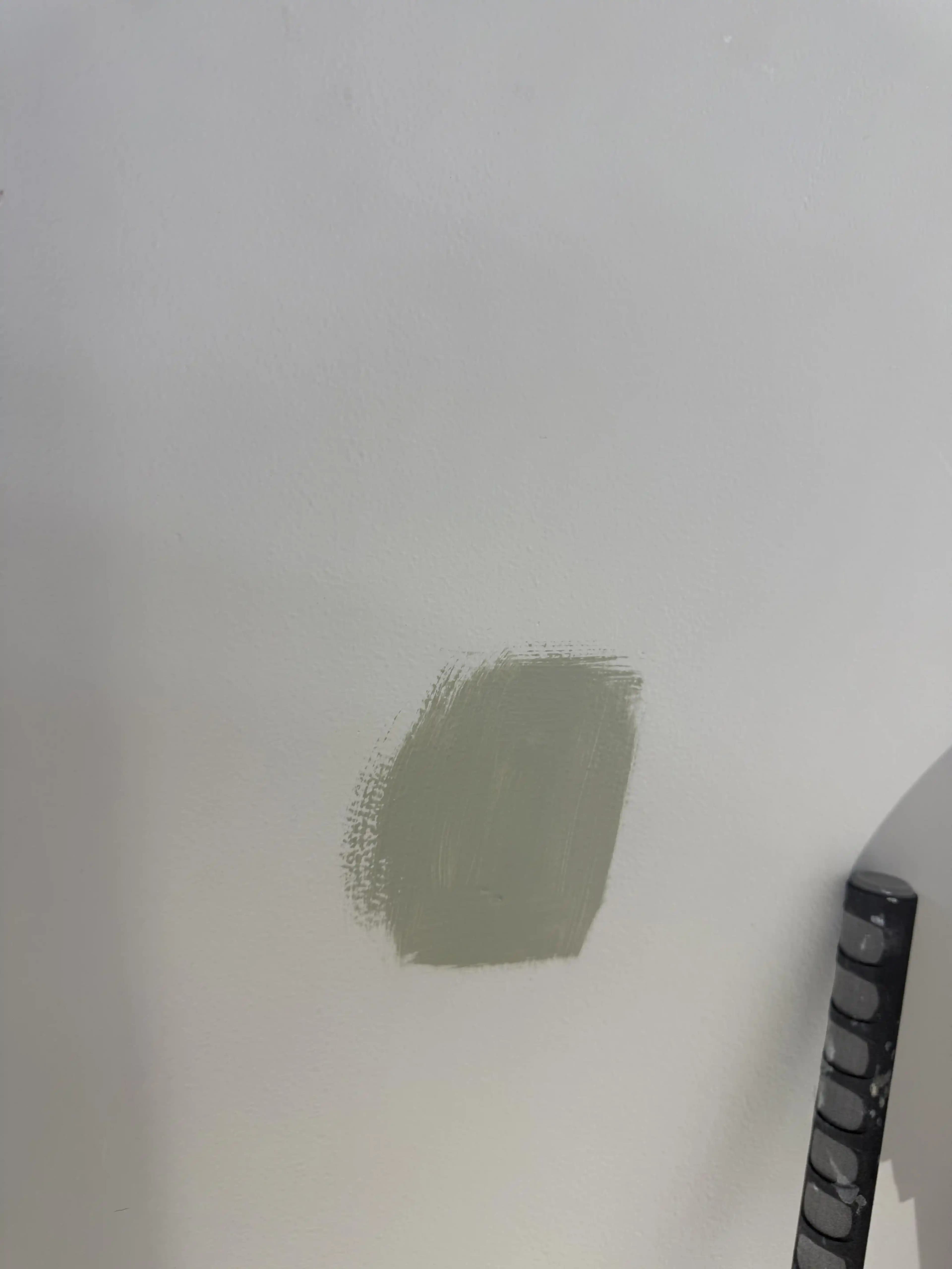 Klozet Boyama İçin En Uygun Renk Seçenekleri: Yeşil Tonları mı Beyaz mı?