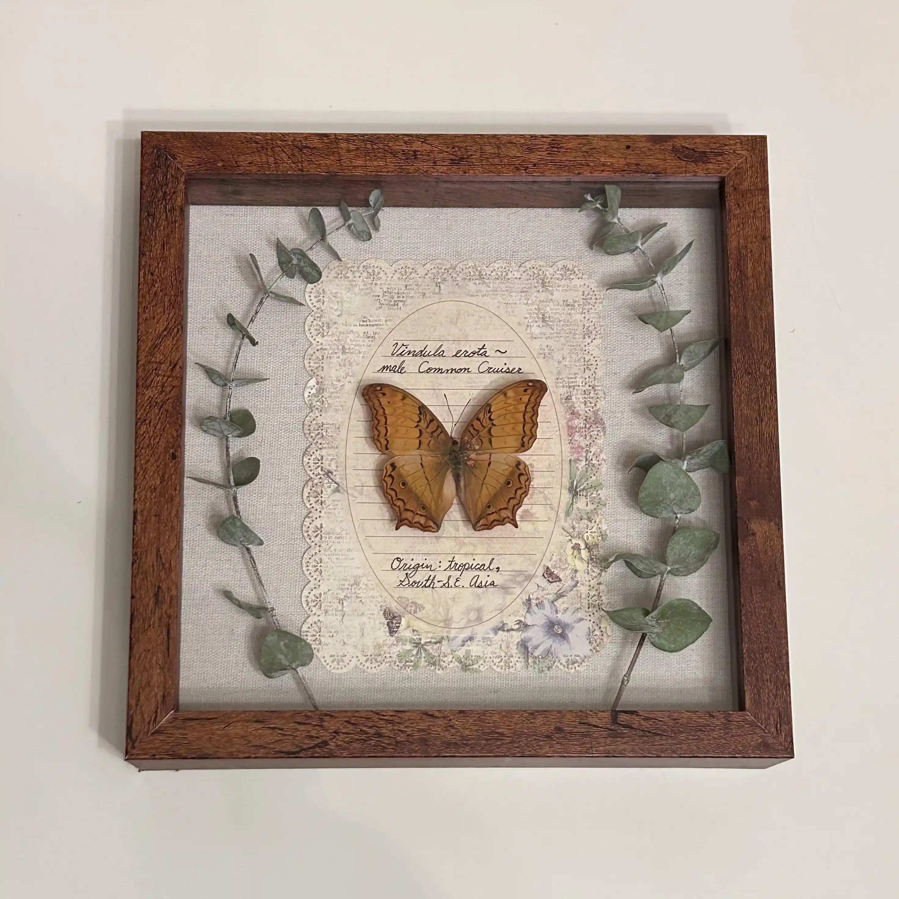 Kurutulmuş Kelebeklerle Dekoratif Sanat: Fiyatlandırma ve Tasarım Rehberi