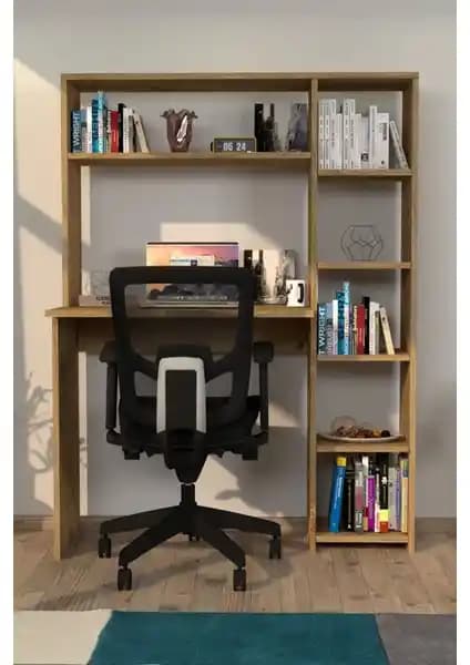 Moonlife Çalışma Masası Karşılaştırması: Duru ve Hipo Modellerinin Özellikleri