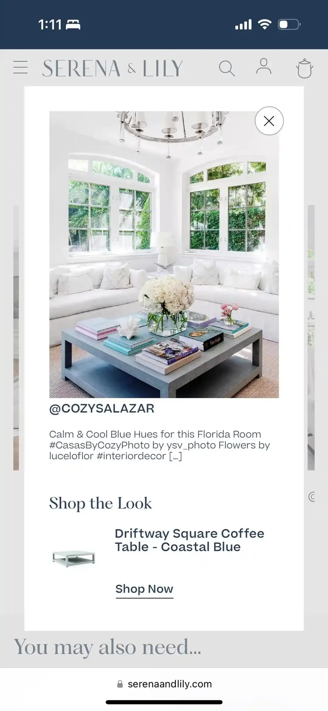 Serena and Lily Driftway Sehpa: Renk Algısı, Boyut ve İade Çözümleri Üzerine Analiz