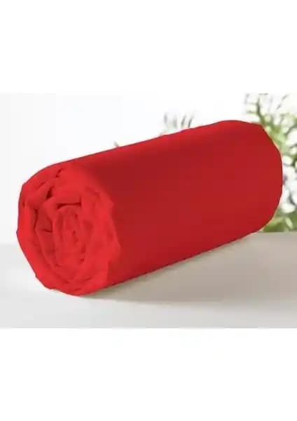 Aslans ve Şanlı Çift Kişilik Lastikli Çarşaf Karşılaştırması ve Kullanıcı Yorumları
