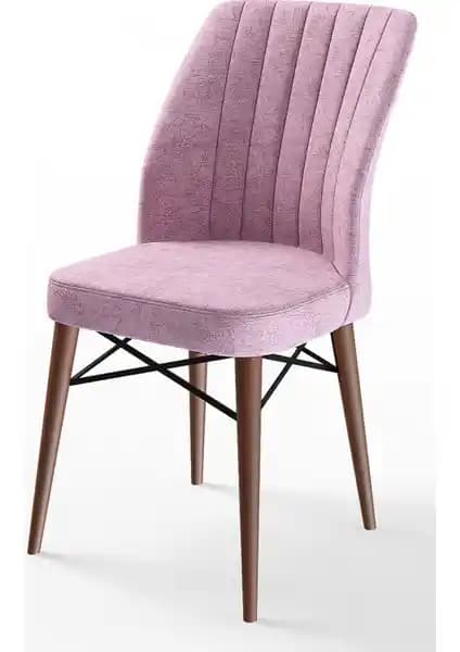 Canisa Flex ve Pefa Serisi Mutfak Sandalyeleri Karşılaştırması ve Özellikleri