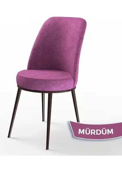 Canisa Serisi Mutfak Sandalyeleri Karşılaştırması: Dexa ve Pefa Modellerinin Özellikleri