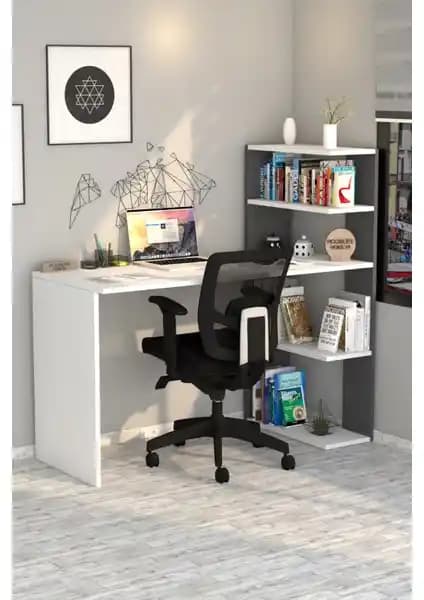 Moonlife Çınar ve Hipo Çalışma Masaları Karşılaştırması: Tasarım, Fonksiyon ve Kullanıcı Yorumları