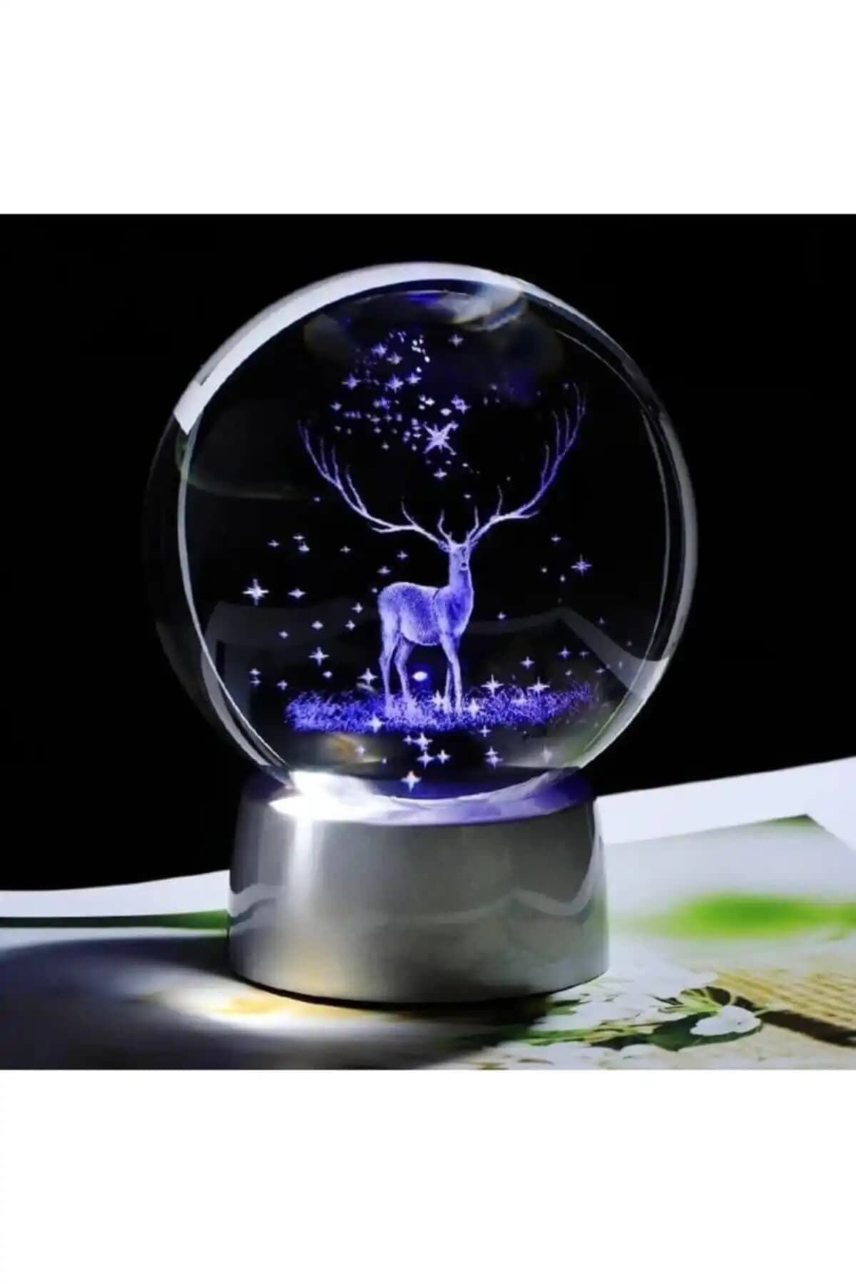 Bakgeldi Kristal Cam Küre ve Genel Markalar 3D Geyikli Işıklı Cam Küre Karşılaştırması 1