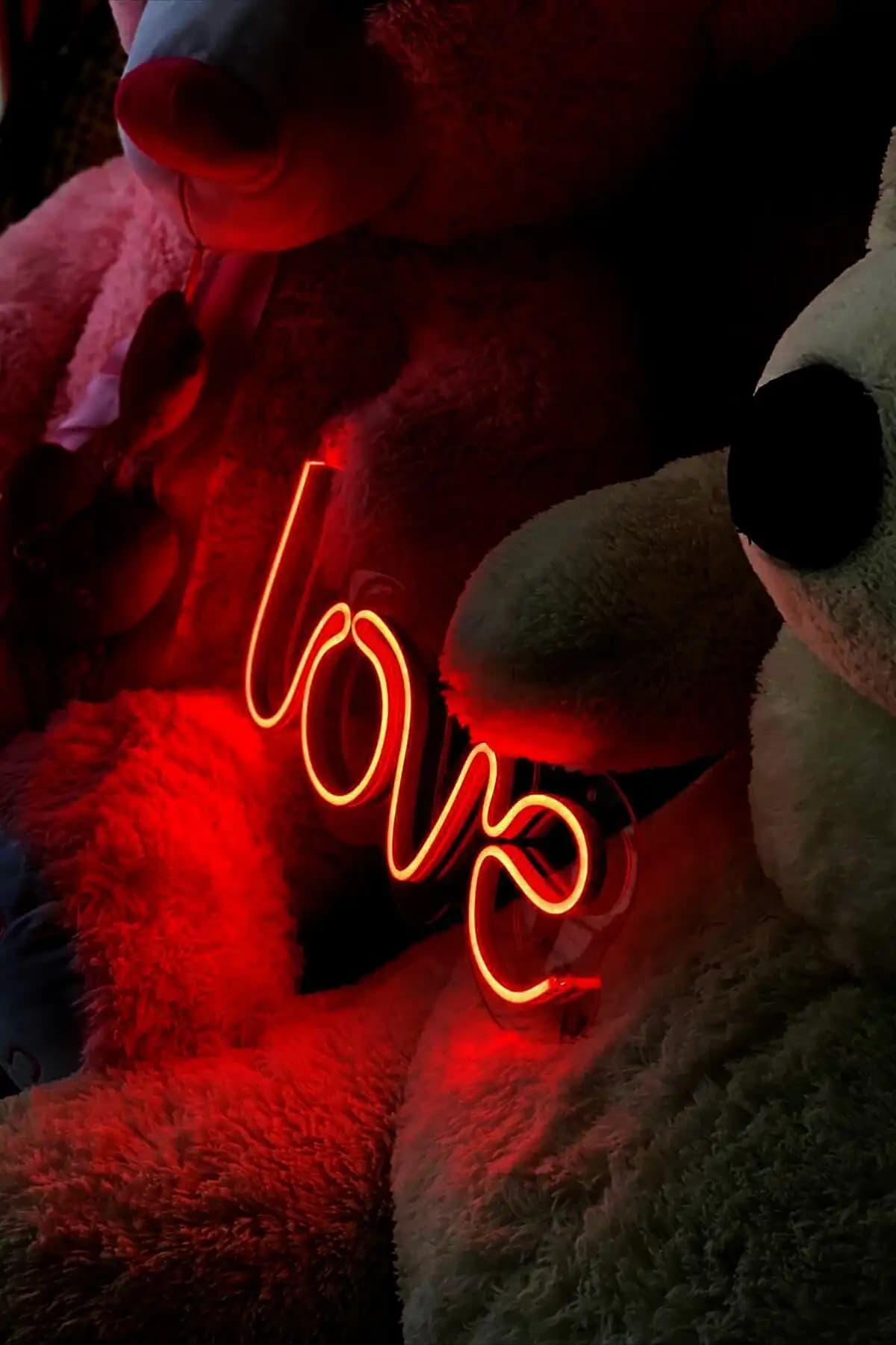 Neon Graph - Cheers ve Love LED Duvar Aydınlatmaları Karşılaştırması 2