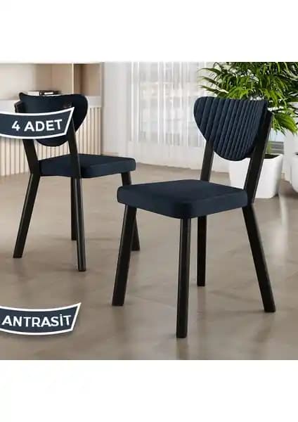 Canisa Arfe Serisi Mutfak Sandalyesi Seti Modern ve Dayanıklı Tasarım