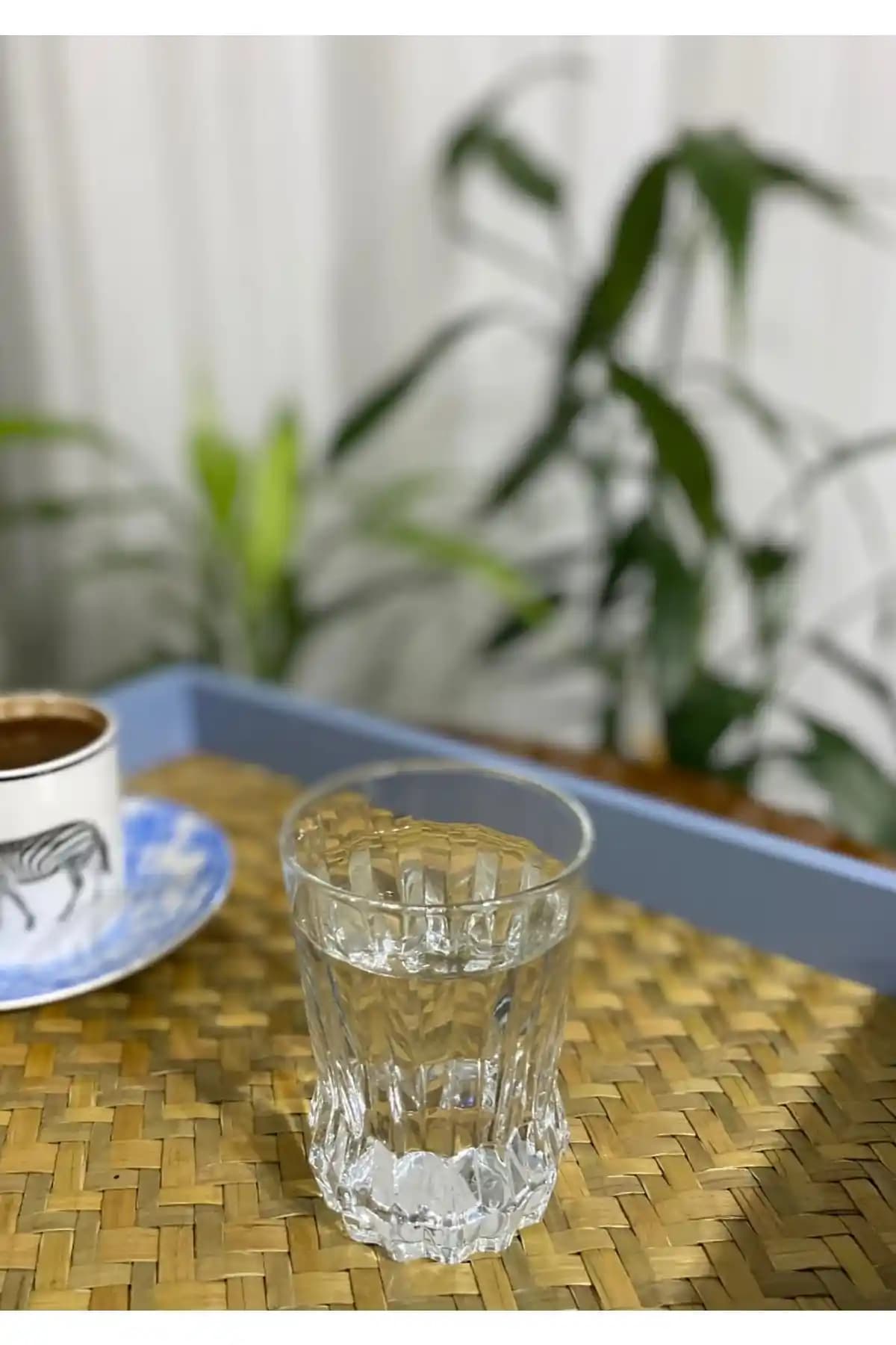 Paşabahçe Gaia 6'lı Kahve Yanı Su Bardağı: Şık ve Dayanıklı Cam Tasarımıyla Pratik Kullanım