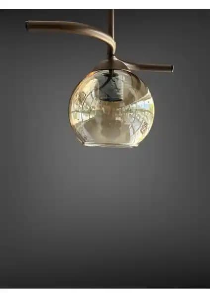 Poyraz Tekli Antre ve Hol Lambası Modern Endüstriyel Tasarım ile Şıklık Sunar