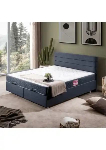 Setay Sofia İkili Çift Kişilik Baza ve Başlık Seti Modern Yatak Odası Çözümü