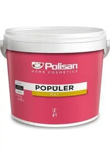 Polisan Popüler Plastik Mat ve Tek Tavan Plastik Boyası Karşılaştırması