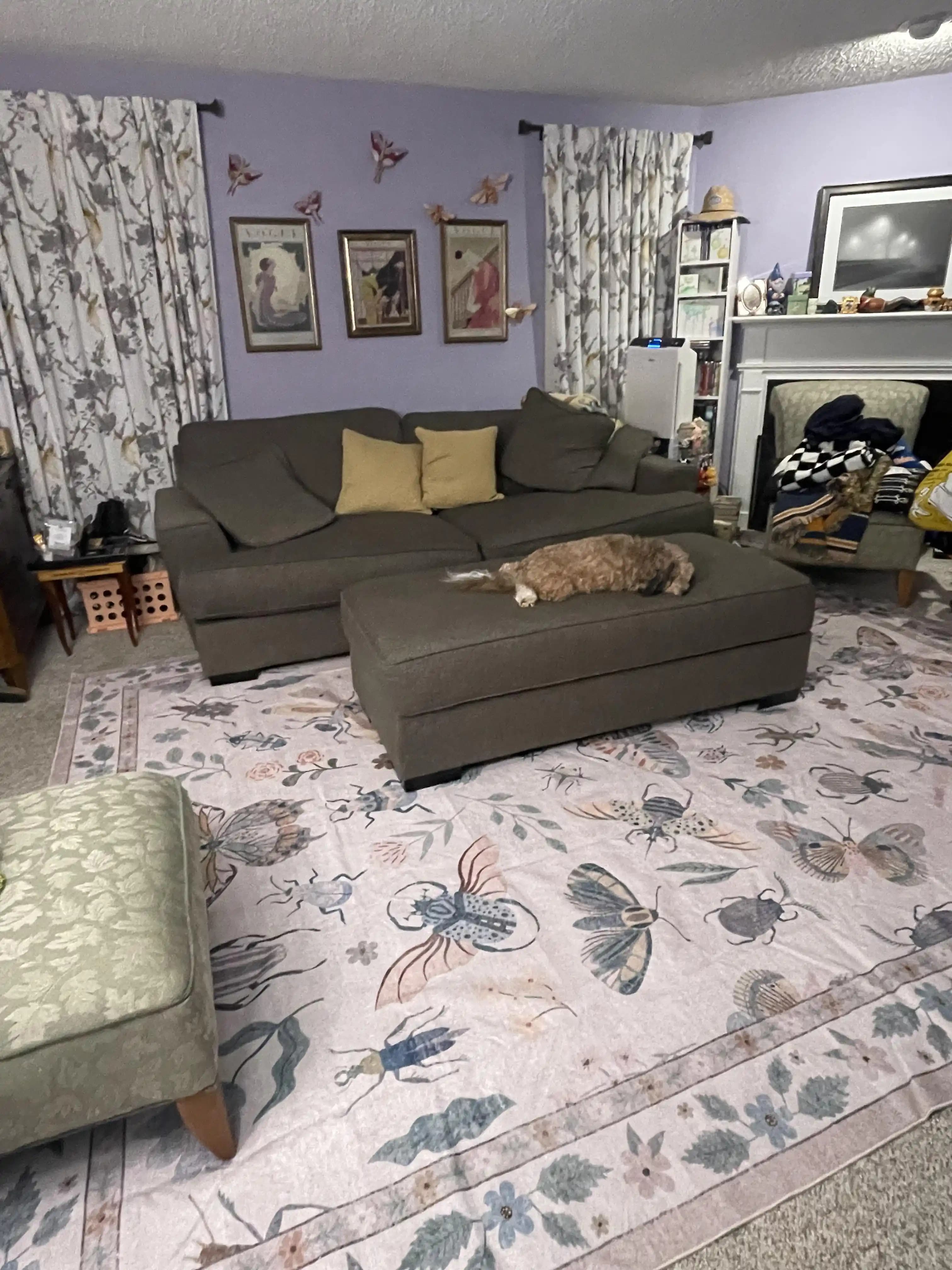 Lavanta Duvarlar ve Gri Mobilyalarla Uyumlu Halı Seçimi İçin Renk ve Desen Dengesi