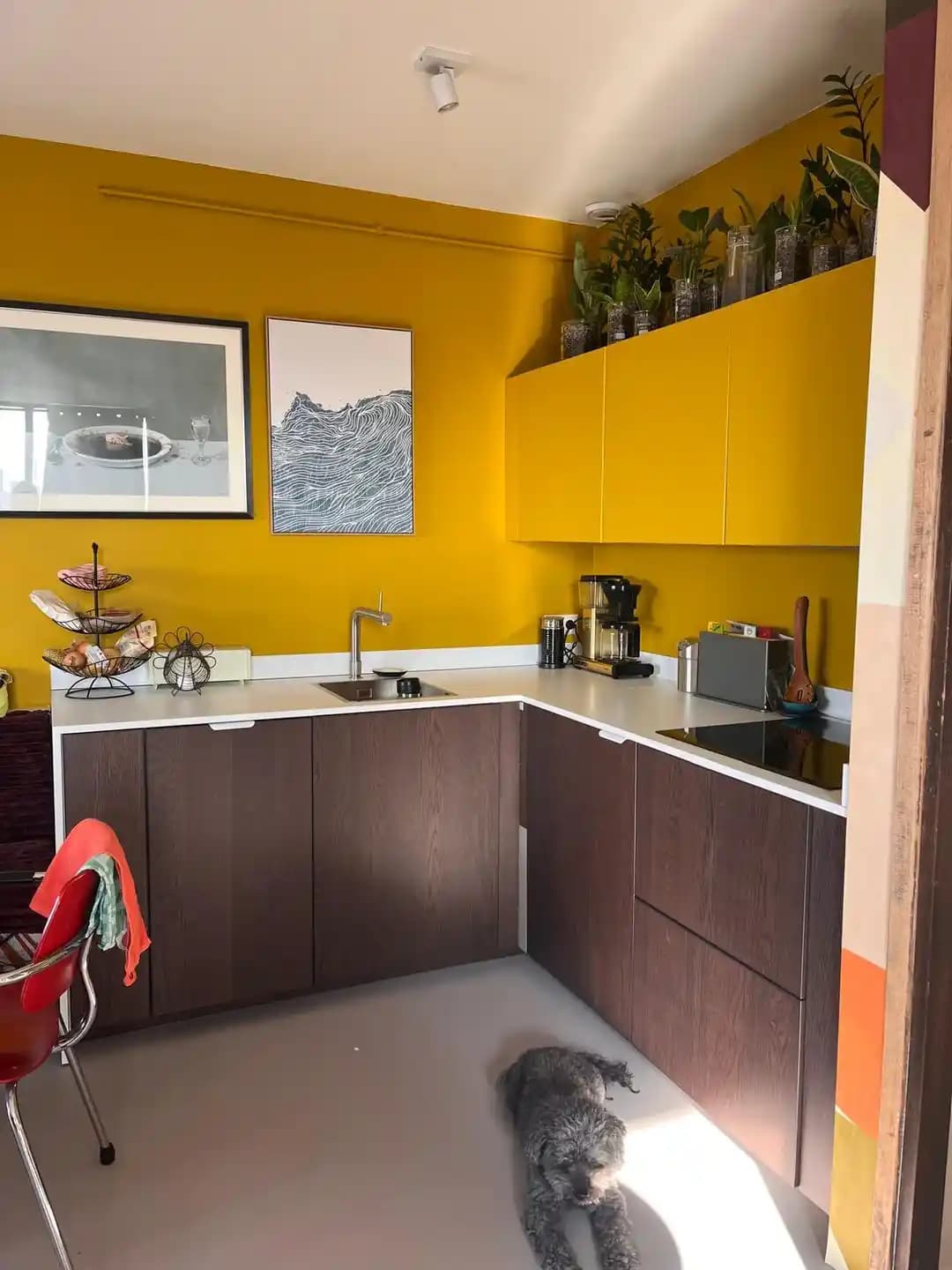 Ceviz Dolaplarla Uyumlu Mutfak Tezgahı Renk Seçimi ve Dekorasyon İpuçları