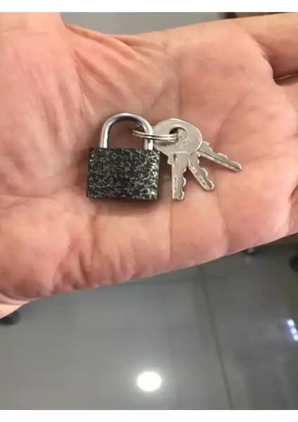 Güçlü ve Dayanıklı 20 mm Gri Asma Kilit ile Güvenliği Artırın