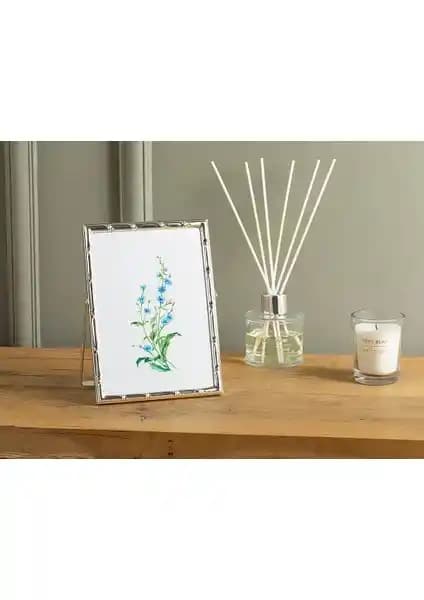 English Home Metal ve Bambu Çerçeve Karşılaştırması: Dekorasyon ve Kullanım Özellikleri