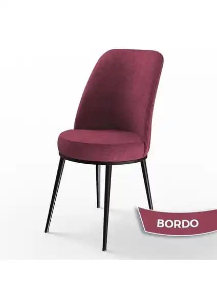 Canisa Concept Dexa ve Lumodi Elma Keten Mutfak Sandalyesi Karşılaştırması