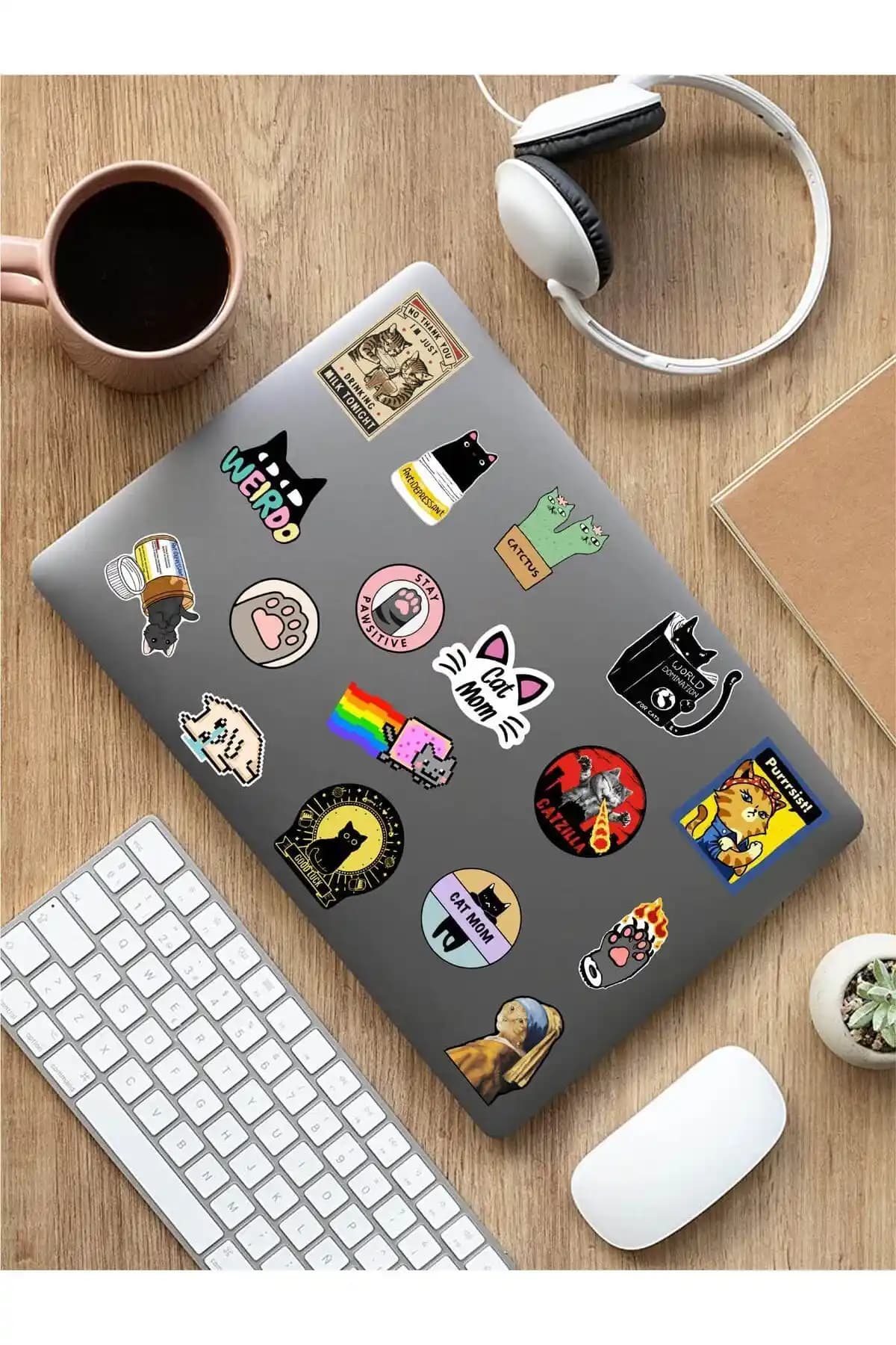 Kedi ve Vsco Pembe AR Sticker Setleri Karşılaştırması ve Kullanıcı Yorumları