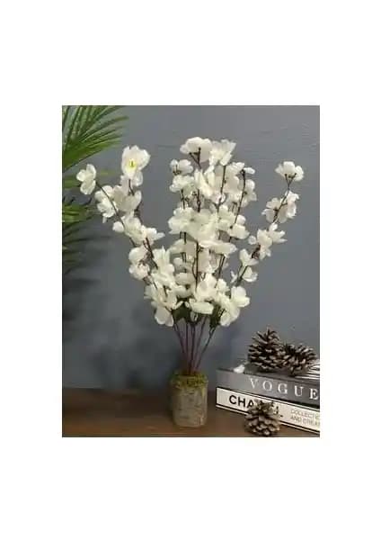 İç Mekânınıza Zarif Beyaz Bahardalı Palmiye Demeti ile Doğal Ahşap Saksı Vurgusu