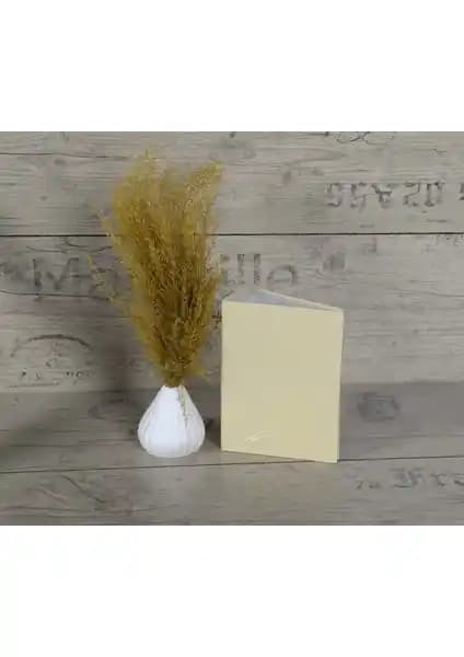 Stüdyo Mustafa 100 Fotoğraflık 10x15 cm Cilt Bezi ve Sert Kapak Fotoğraf Albümü