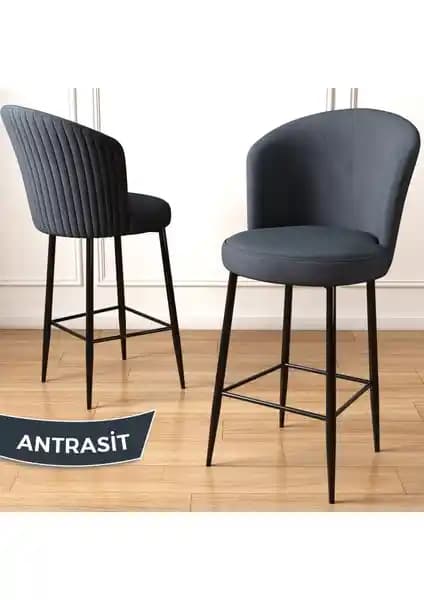 Canisa Concept Fora ve Tera Serisi Mutfak Bar Sandalyeleri Karşılaştırması 2023