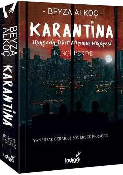 Beyza Alkoç'un 'Karantina' Serisi Karşılaştırması ve Detaylı İnceleme 1