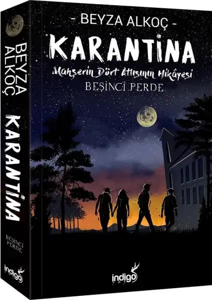 Beyza Alkoç'un 'Karantina' Serisi Karşılaştırması ve Detaylı İnceleme 2