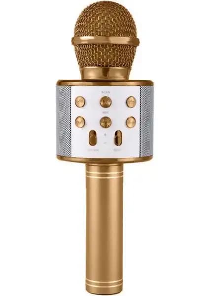 Blupple WS-858 ve Concord C-8500 Karaoke Mikrofonlarının Detaylı Karşılaştırması 1