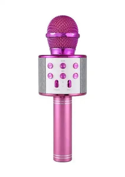 Evervox EVR KRK 02 ve Tatu WS-858 Karşılaştırması: Hangi Karaoke Mikrofonu Daha İyi 1