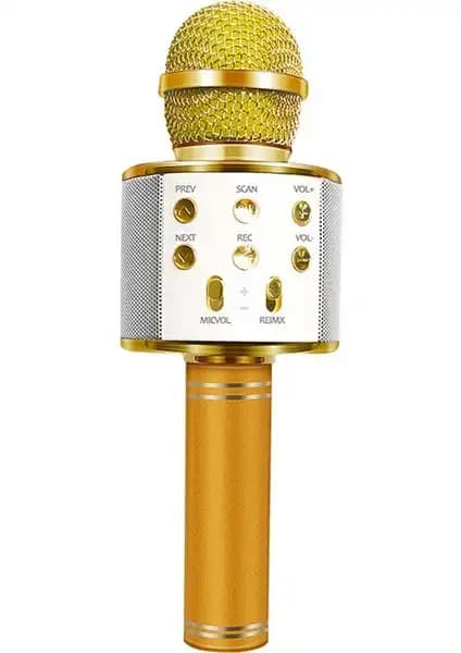 Evervox EVR KRK 02 ve Tatu WS-858 Karşılaştırması: Hangi Karaoke Mikrofonu Daha İyi 2