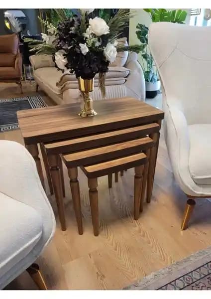 Akset Lüx ve Canisa Lyon Serisi Zigon Sehpa Karşılaştırması: Tasarım ve Malzeme Özellikleri