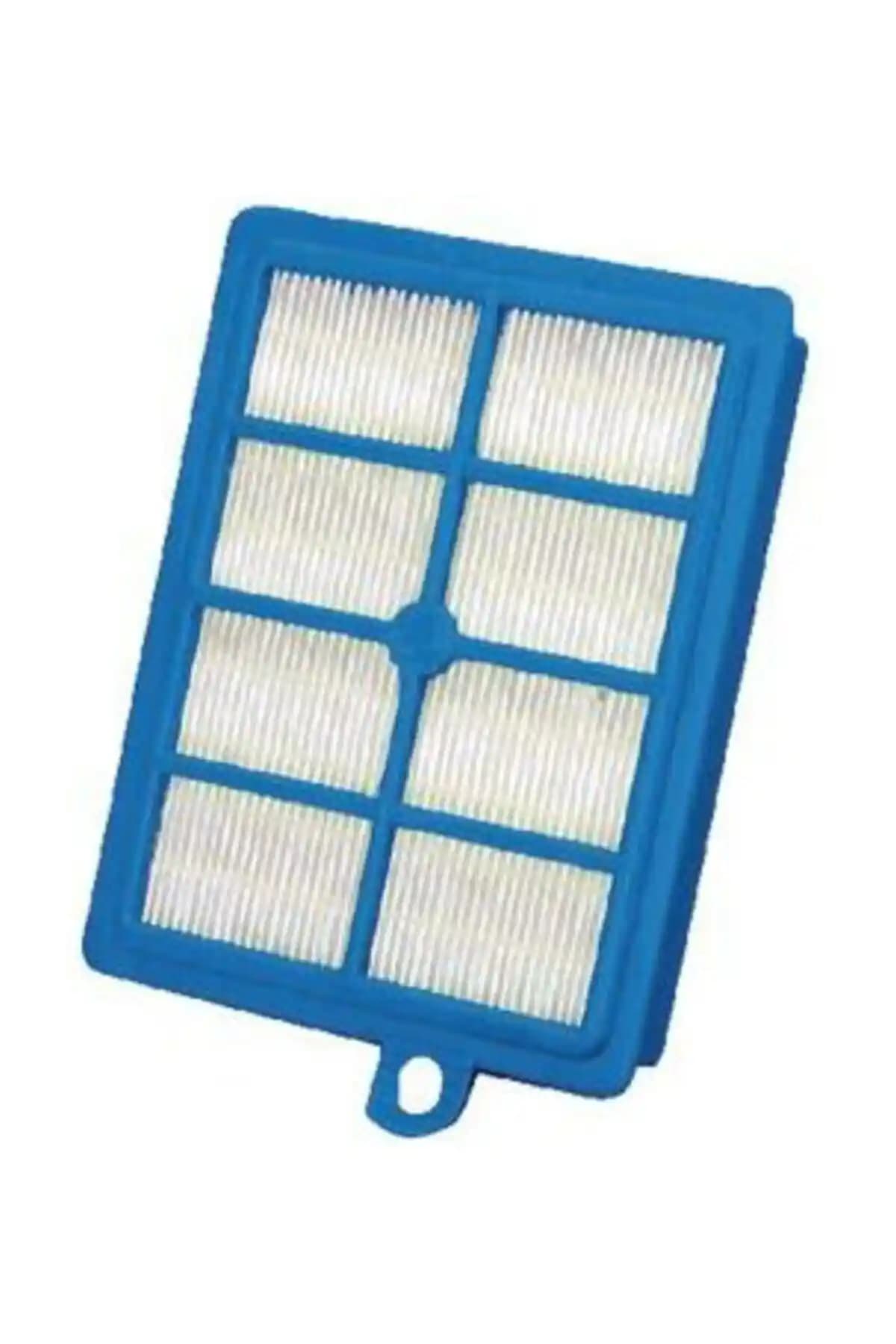 Electrolux Efs1w Allergy Plus HEPA 13 Filtreli Elektrikli Süpürge için Detaylı İnceleme ve Kullanıcı Yorumları