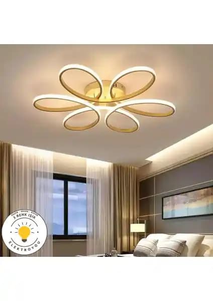 Elektroyou Nipul Eskitme Plafonyer ve Robin 3'lü Beyaz Ledli Modern Avize Karşılaştırması