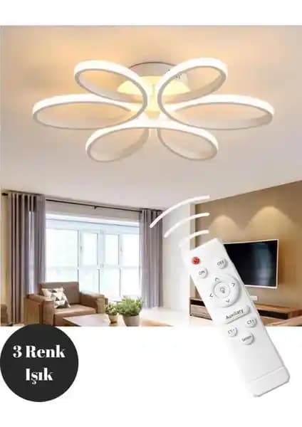 Elektroyou Nipul ve Robin Modern Avize Modellerinin Detaylı Karşılaştırması