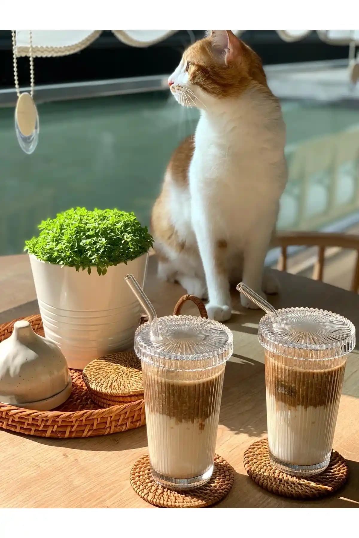 Küçük EW 2 Adet 400 ml Cam Kapaklı Pipetli Origami Stil Cam Bardaklar