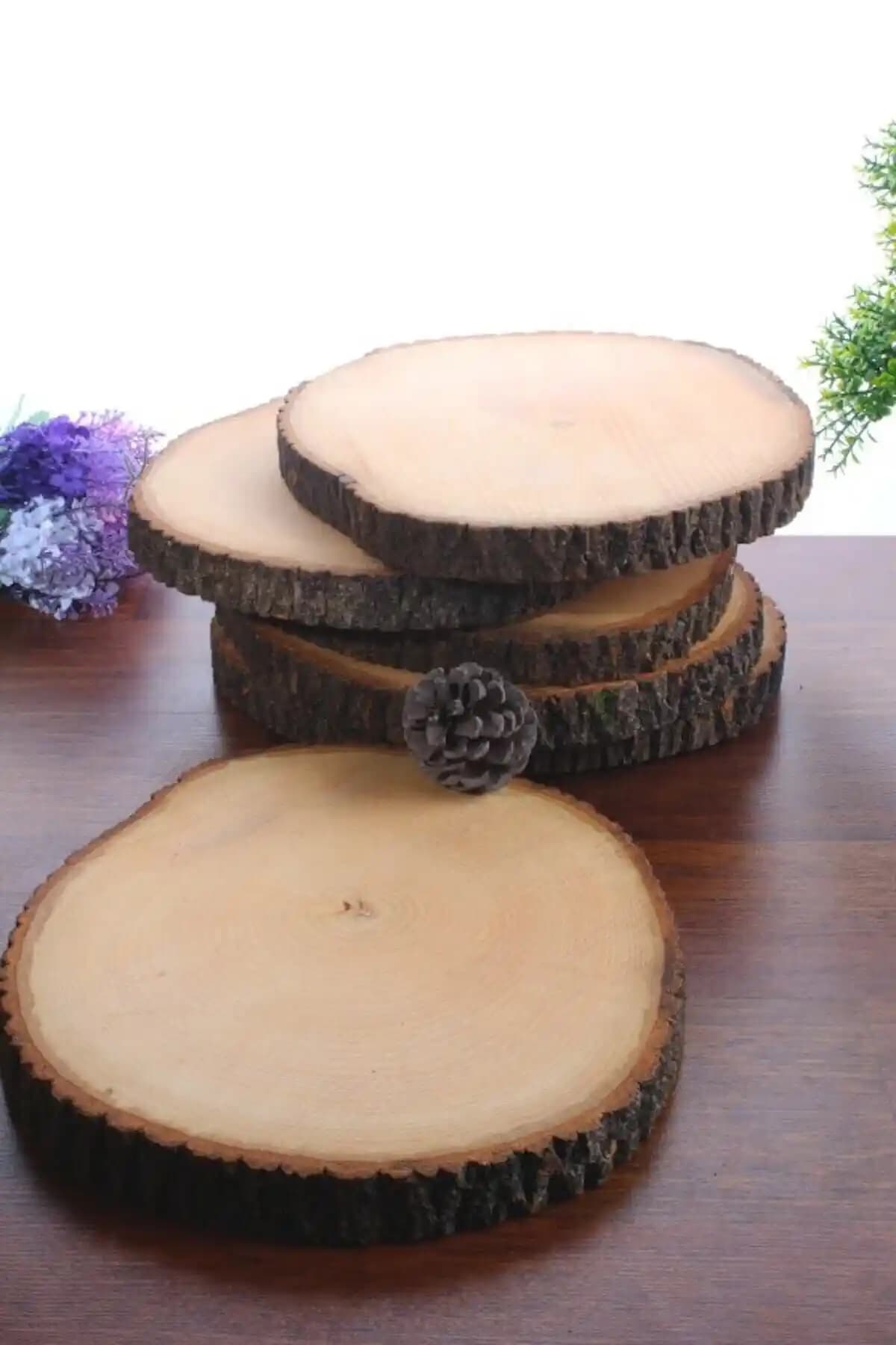 Mercan Marka 6'lı Kütük Çay Tabağı Seti Doğal Ahşap Tasarımı ve Kullanım Avantajları