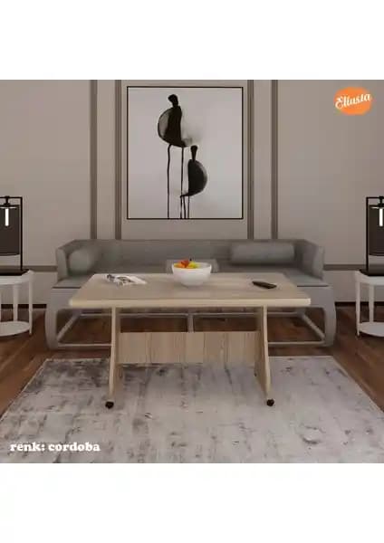 Modilayn Eliusta Tekerlekli MDF Masa: Modern Tasarım ve Çok Amaçlı Kullanım Özellikleri