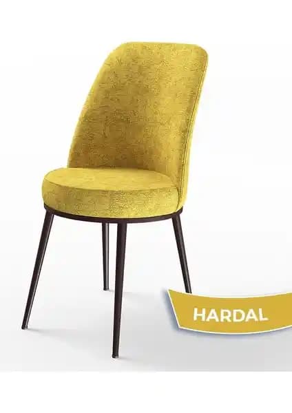 Mutfak Sandalyesi Karşılaştırması: Canisa Dexa Serisi ve Yılmaz Masacılık Retro Modeli