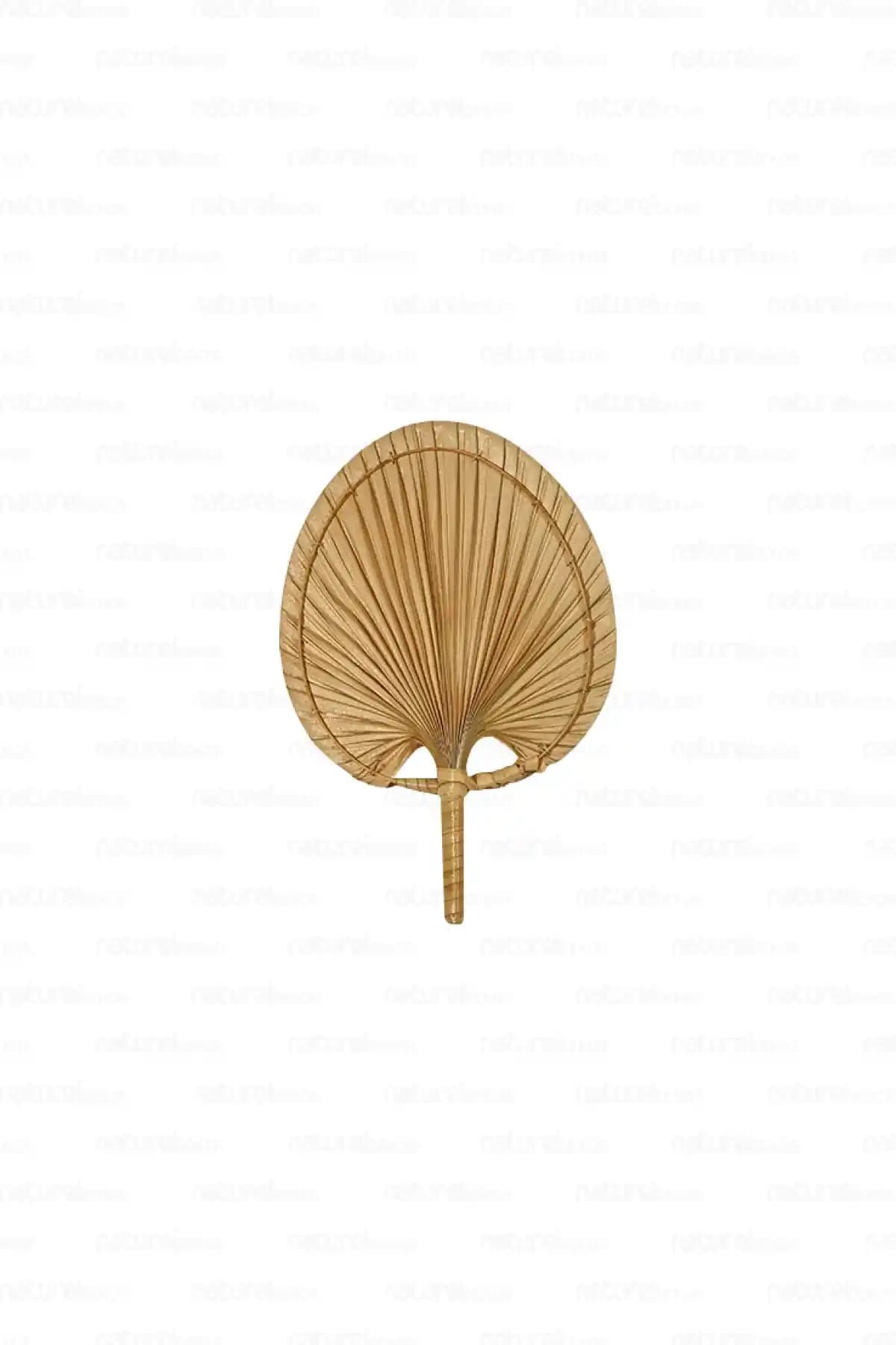 Naturel Home Bohem Palmiye Yaprağı Doğal ve Modern Duvar Dekoru 19x28 cm