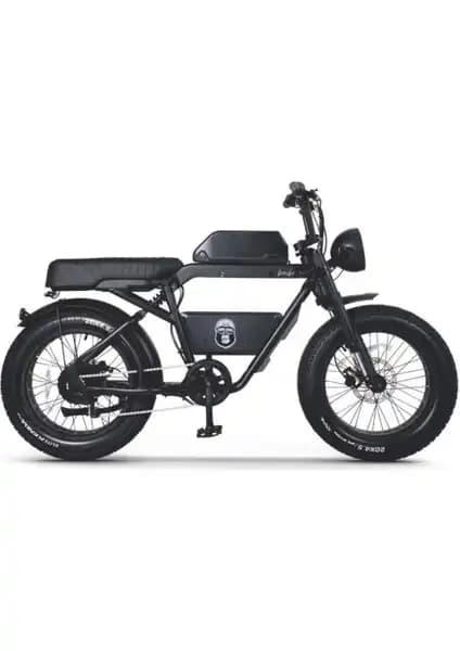 Ape Ryder Bonobo Elektrikli Bisiklet: Yüksek Performans ve Konfor Sunan Modern Ulaşım Aracı