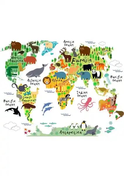 Çocuklar İçin Eğitici ve Renkli Dünya Haritası Duvar Süsü Detaylı İnceleme