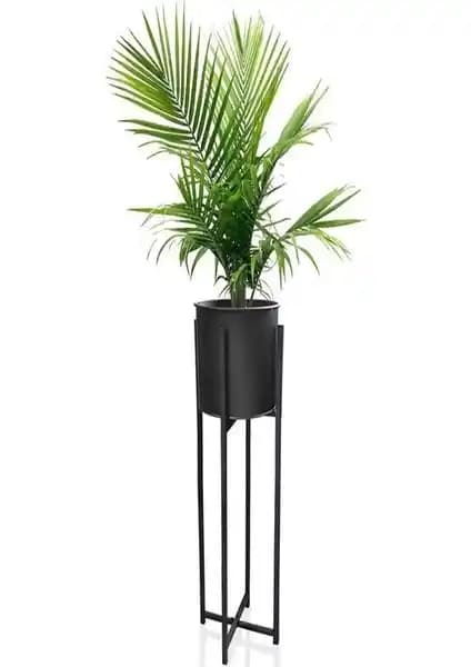 Mien Metal Siyah Dekoratif Ayaklı Saksı: Modern ve Dayanıklı İç ve Dış Mekan Kullanımı