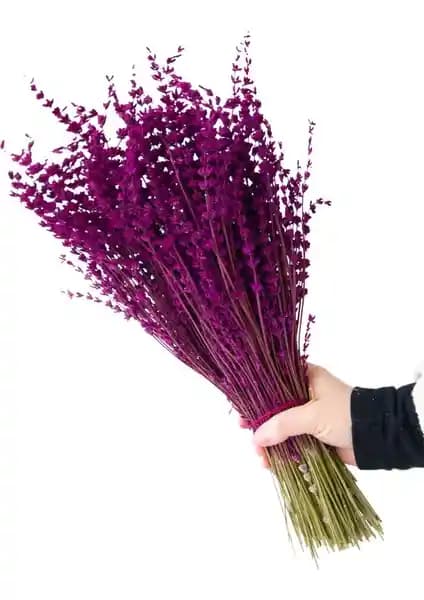 Sofiplant Pembe Lavanta Demeti: Doğal Güzellik ve Ferahlatıcı Aromanın Buluşması