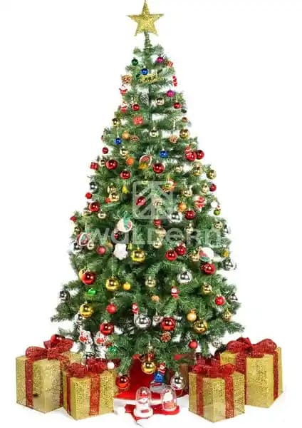 Waldern Premium Lüks Serisi 210 cm Yılbaşı Çam Ağacı ile Evde Sıcak ve Doğal Bir Atmosfer Yaratın