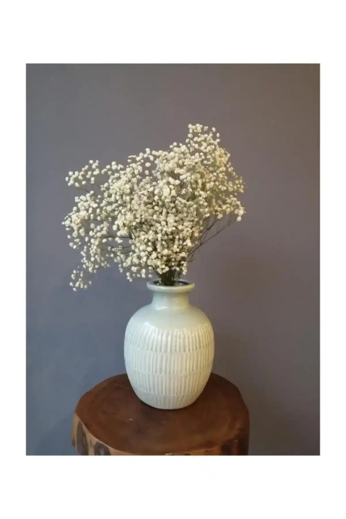 Kuru Çiçek Deposu 1. Kalite Şoklanmış Dökülmeyen Natural Beyaz Cipso Demeti Özellikleri