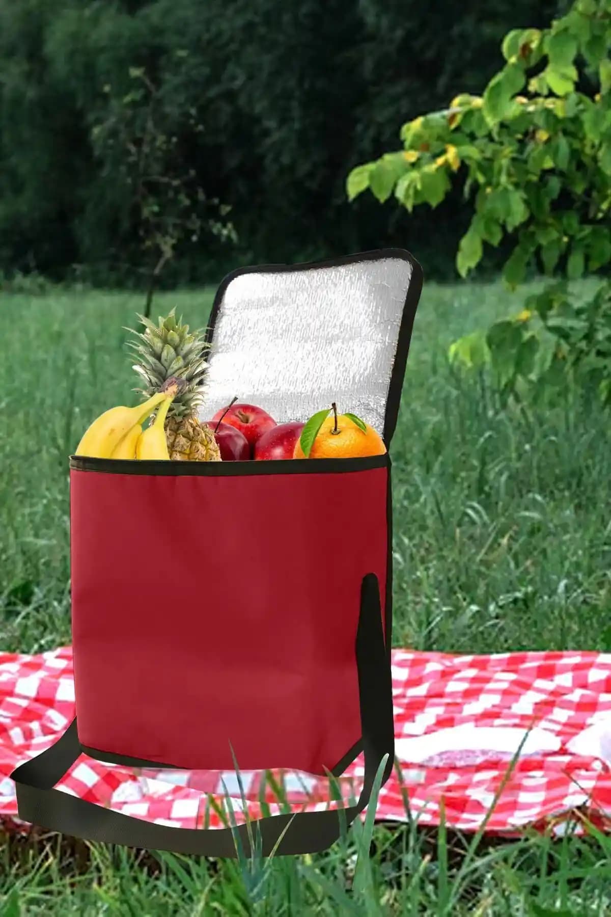 Genel Markalar ve woys Termos Çantaları Karşılaştırması: Kapasite, Yalıtım ve Kullanım Özellikleri